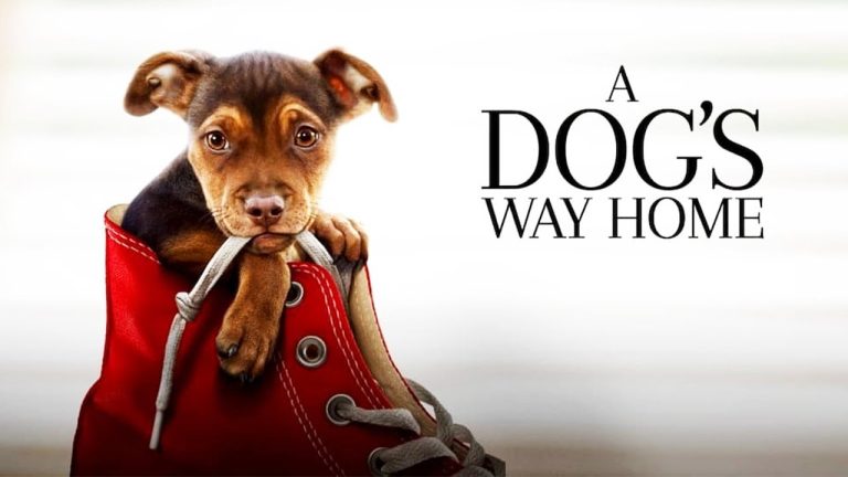 Download the A Dog’S Journey Full movie from Mediafire