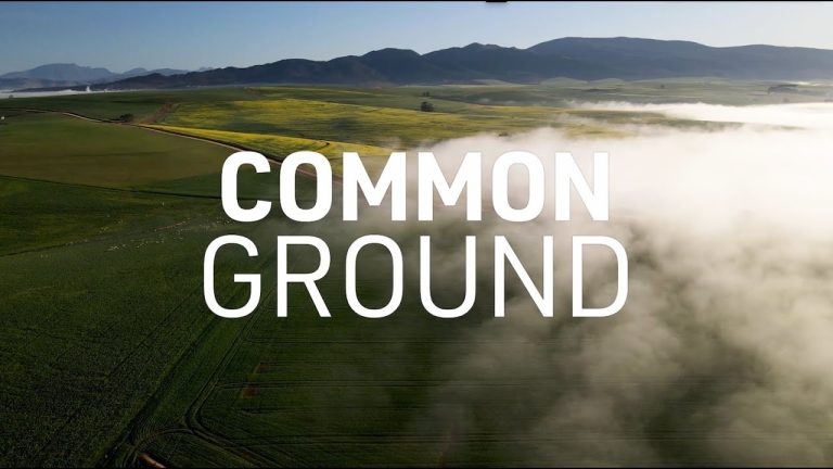 Download the Common Ground Movies 2023 movie from Mediafire