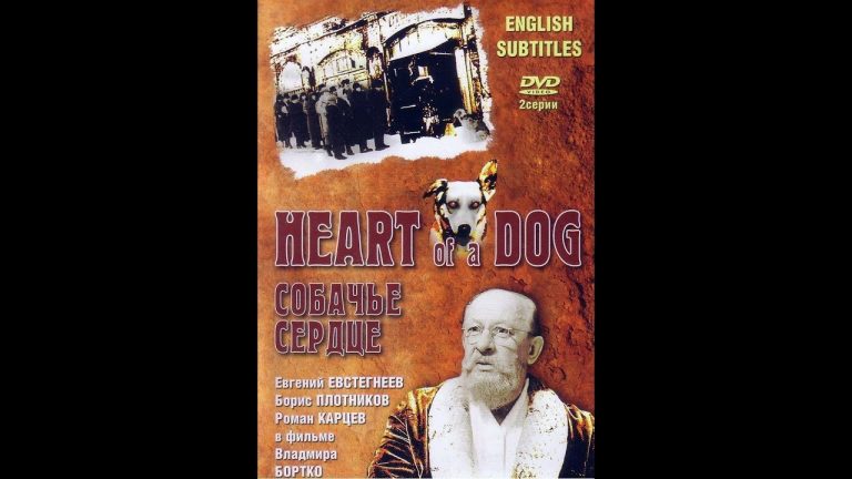 Download the Heart Of A Dog movie from Mediafire