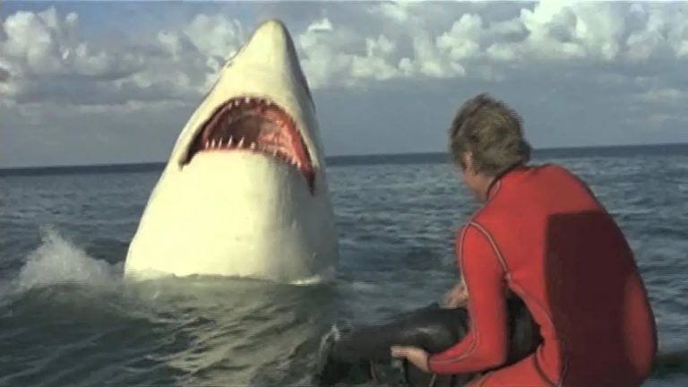 Download the Jaws Watch Options movie from Mediafire