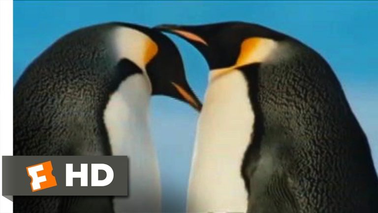 Download the March Of The Penguins Streaming movie from Mediafire