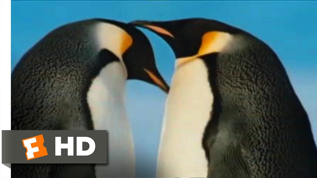 Download the March Of The Penguins Streaming movie from Mediafire Download the March Of The Penguins Streaming movie from Mediafire