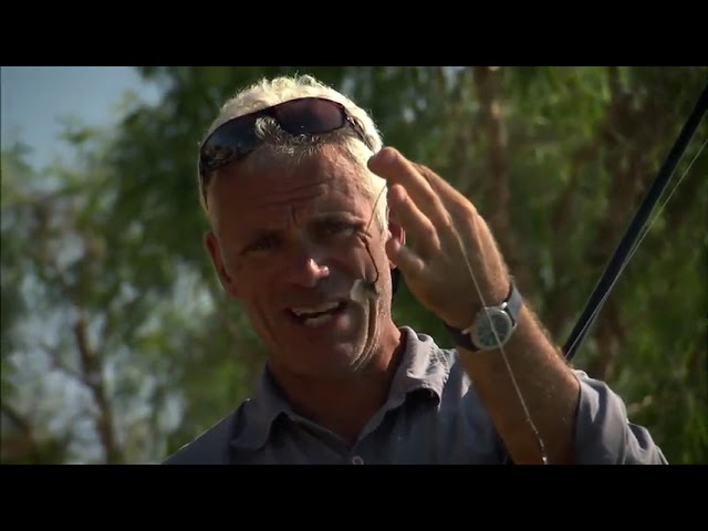 Download the River Monsters series from Mediafire