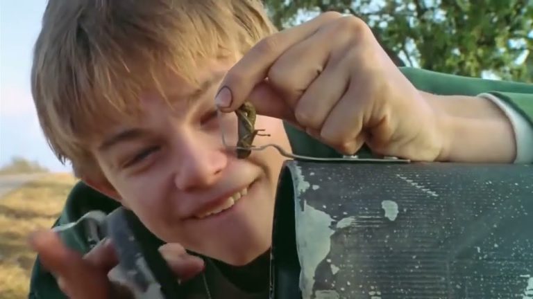 Download the Stream What’S Eating Gilbert Grape movie from Mediafire
