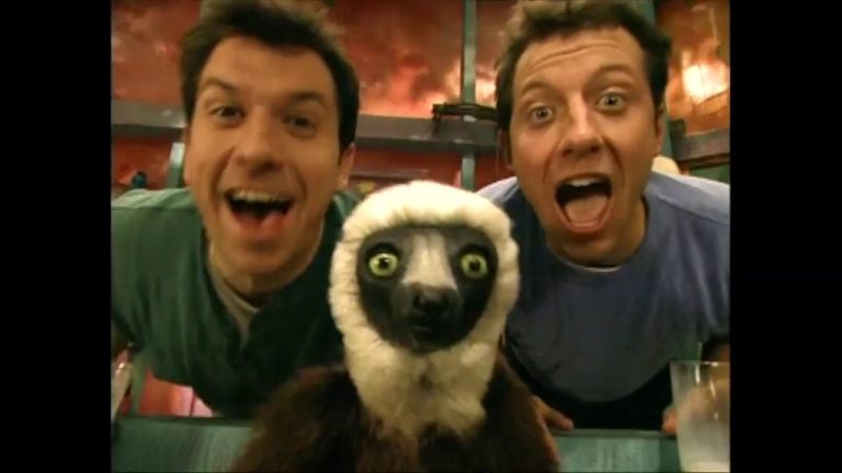 Download the Zoboomafoo series from Mediafire