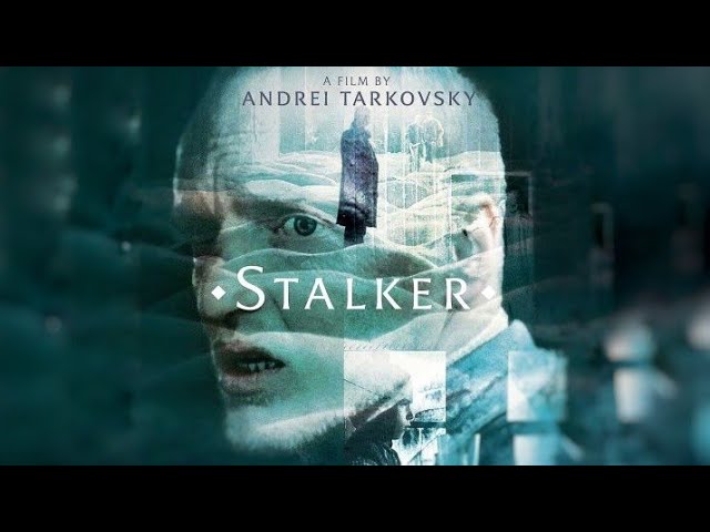 Download the Dtalker movie from Mediafire Download the Dtalker movie from Mediafire