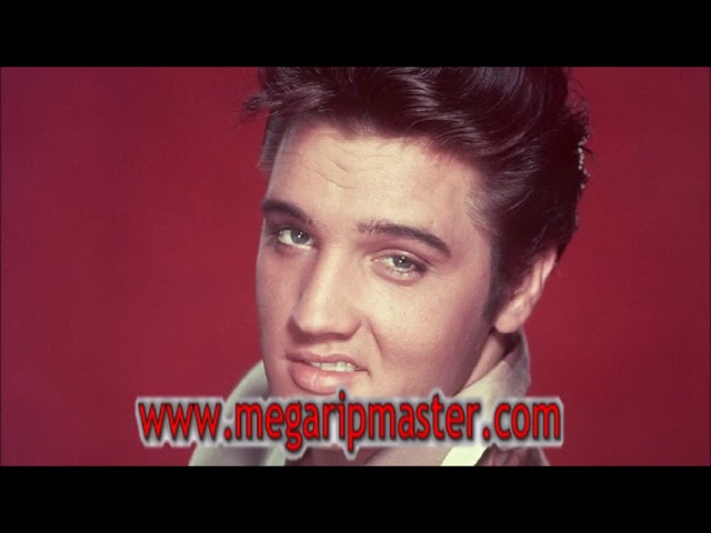 Download the Elvis Streaming movie from Mediafire Download the Elvis Streaming movie from Mediafire