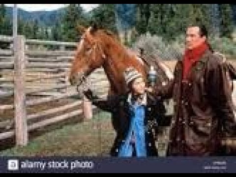 Download the Patriot Mel Gibson Cast movie from Mediafire Download the Patriot Mel Gibson Cast movie from Mediafire