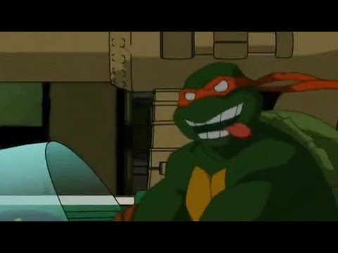Download the Teenage Mutant Ninja Turtles 2003 Season 5 series from Mediafire