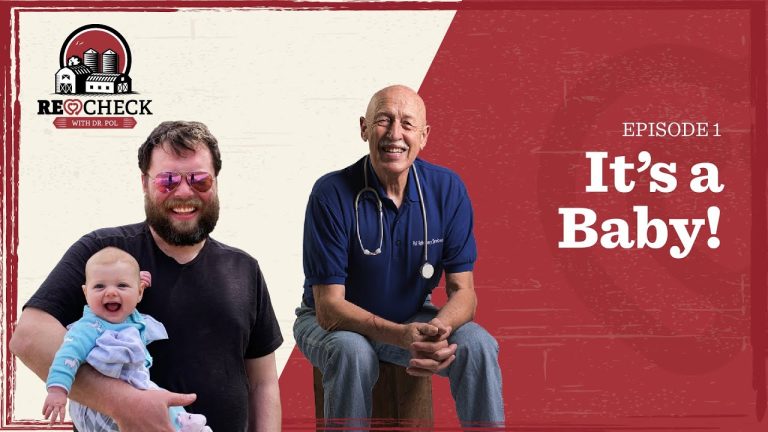 Download the Where Can I Watch The Incredible Dr Pol series from Mediafire