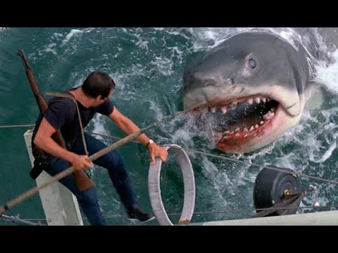 Download Jaws Movie