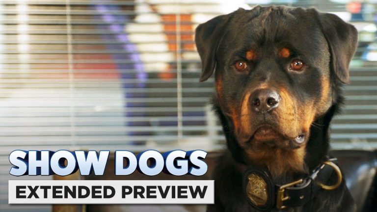 Download Show Dogs Movie