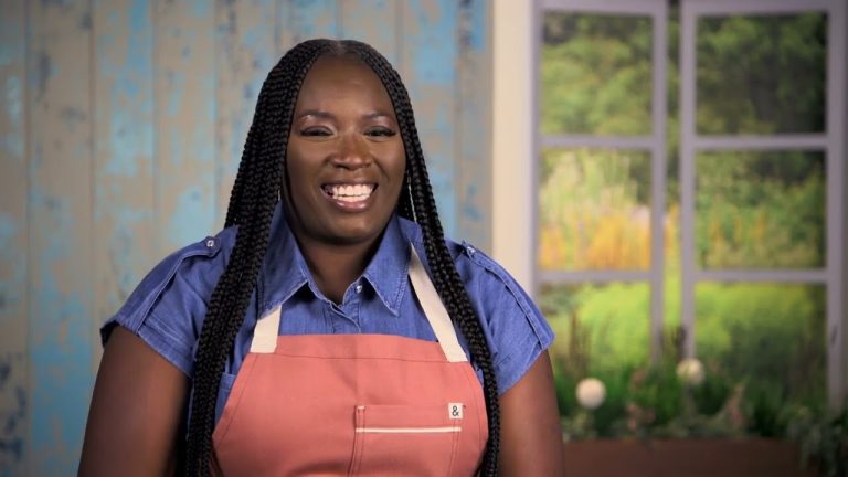 Download the Where Can I Watch Holiday Baking Championship series from Mediafire