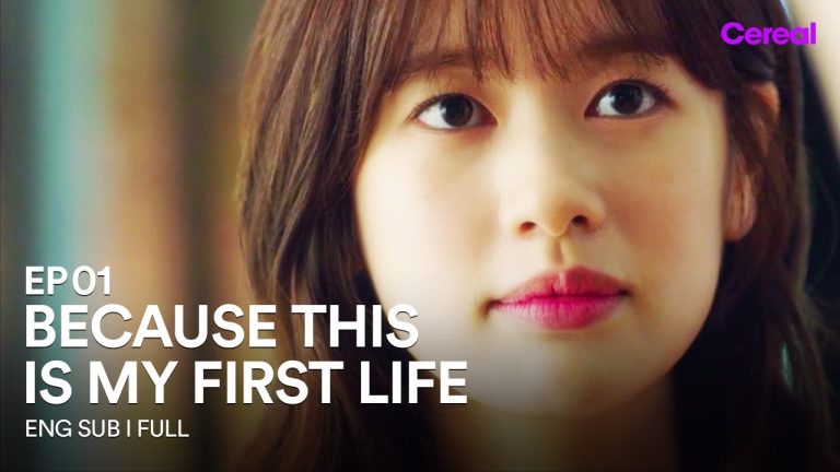 Download Because This Is My First Life TV Show