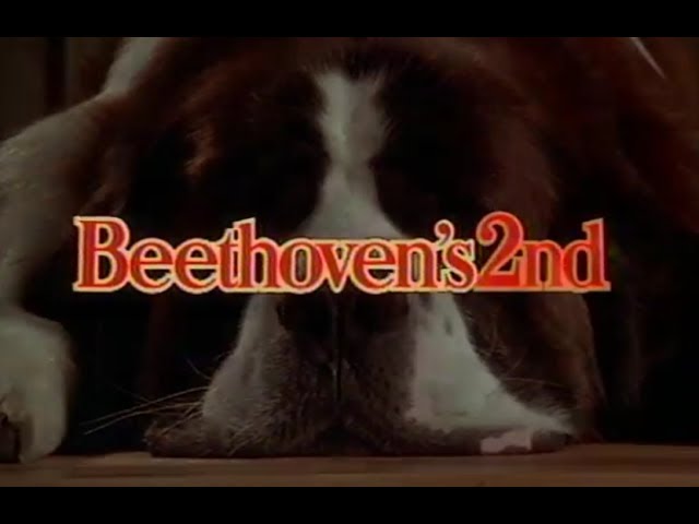 Download Beethoven’s 2nd Movie