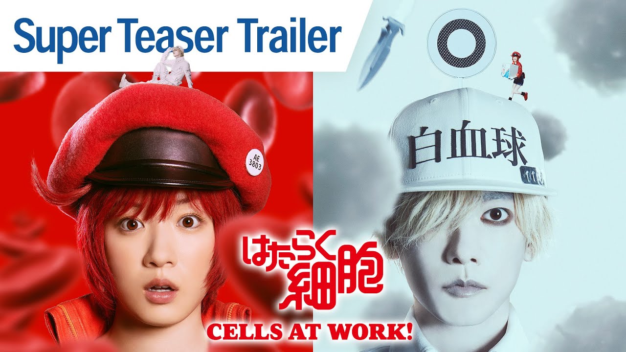 Download Cells at Work! TV Show