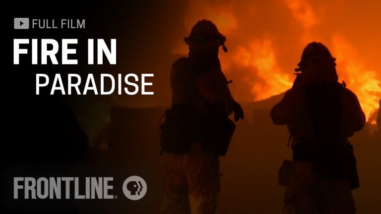 Download Fire in Paradise Movie