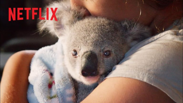 Download Izzy’s Koala World TV Show
