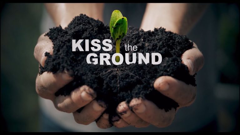 Download Kiss the Ground Movie