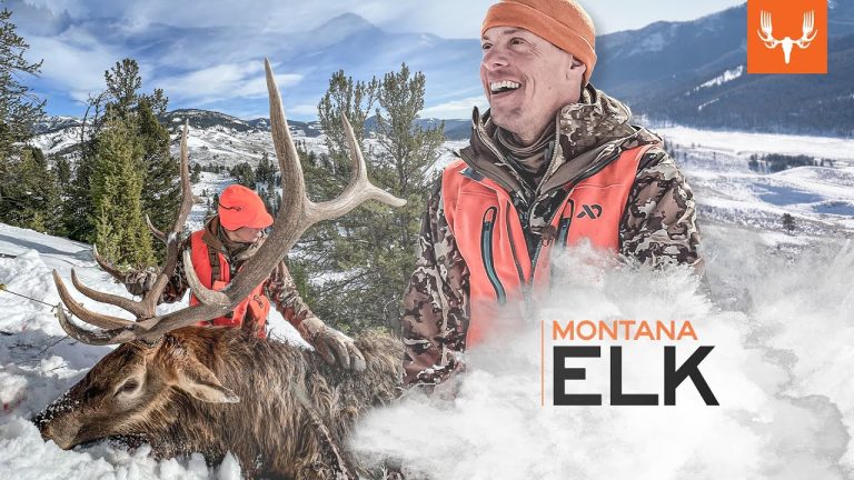 Download MeatEater TV Show