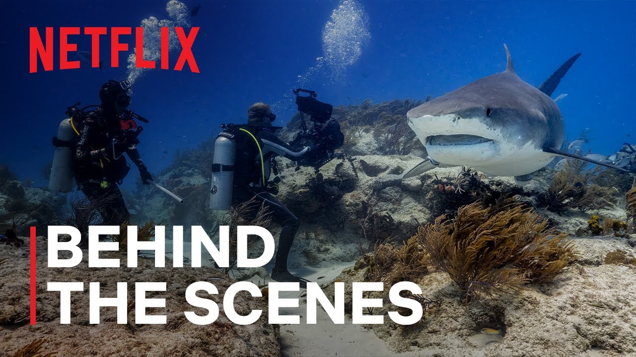 Download Our Planet - Behind The Scenes Movie