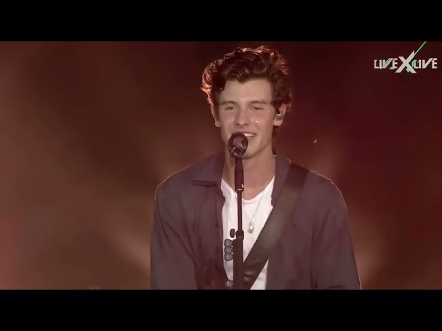 Download Shawn Mendes: Live in Concert Movie
