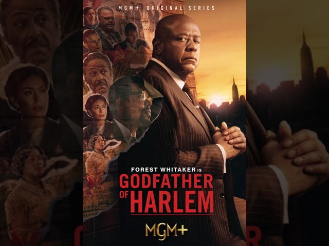 Download the Godfather Of Harlem Hulu Season 3 series from Mediafire