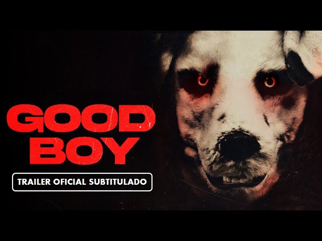 Download the Good Boy movie from Mediafire
