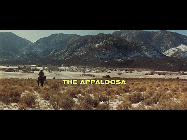 Download the Movies The Appaloosa movie from Mediafire