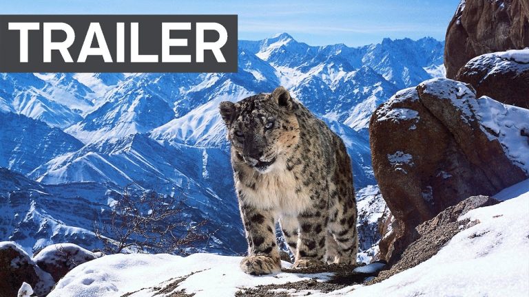 Download the Netflix Planet Earth Ii series from Mediafire