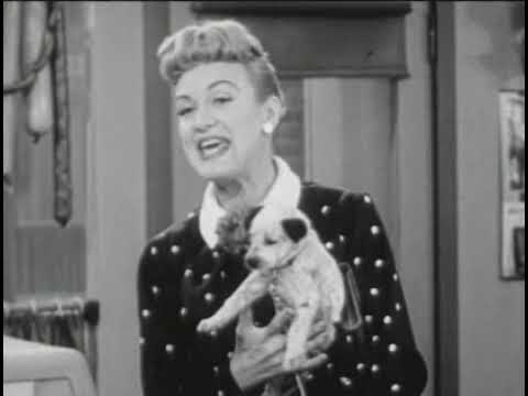 Download the Our Miss Brooks Otr series from Mediafire