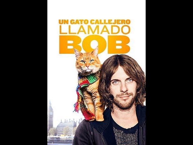 Download the Street Cat Bob Film movie from Mediafire