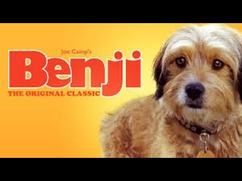 Download Benji Movie