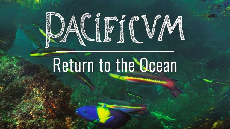 Download Pacificum: Return to the Ocean Movie